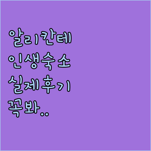 스페인 알리칸테 추천 숙소 5곳 비교..