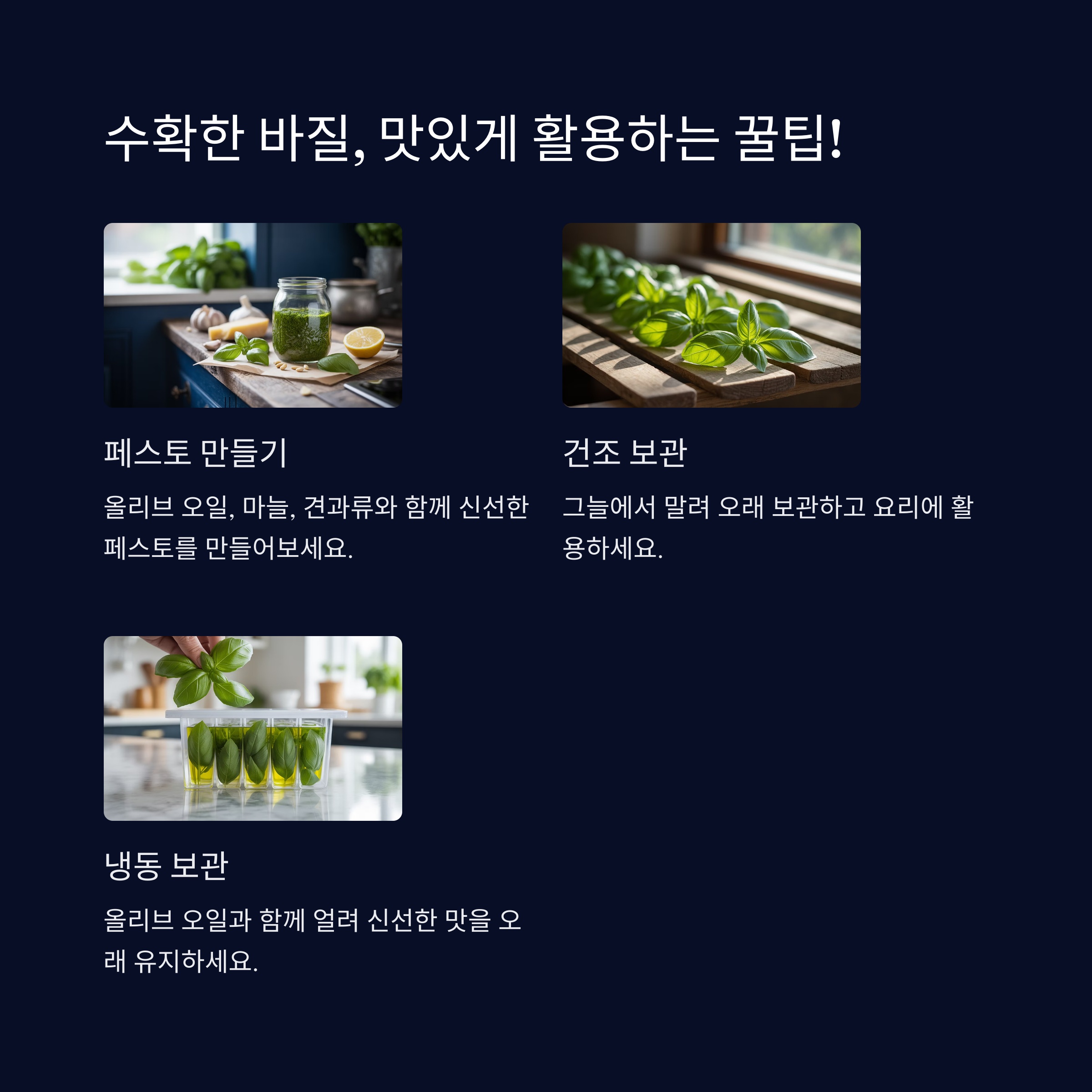 수확한 바질, 맛있게 활용하는 꿀팁!
