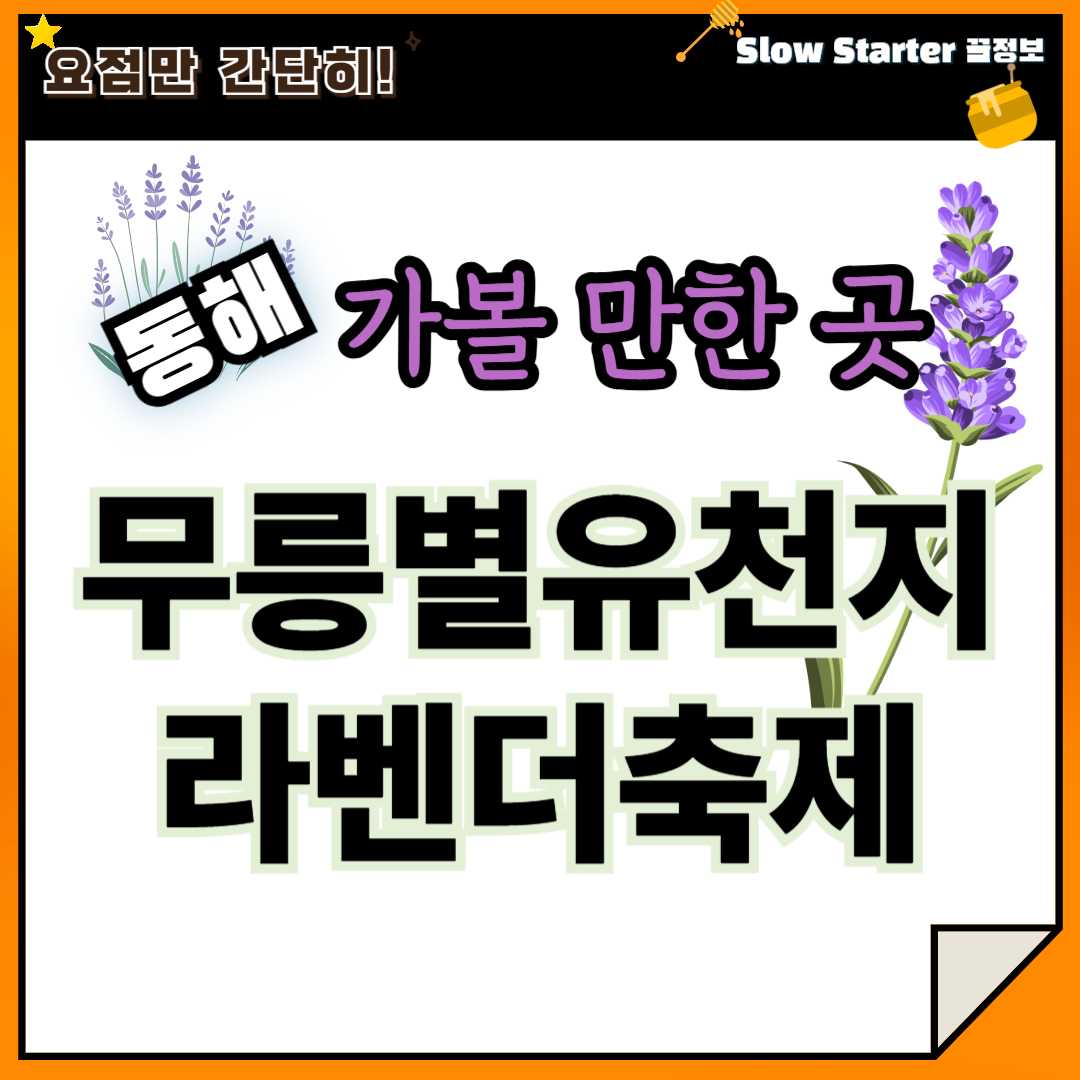 2025 강원도 동해 아이와 함께 가볼만한곳, 무릉별유천지, 라벤더 축제 총정리