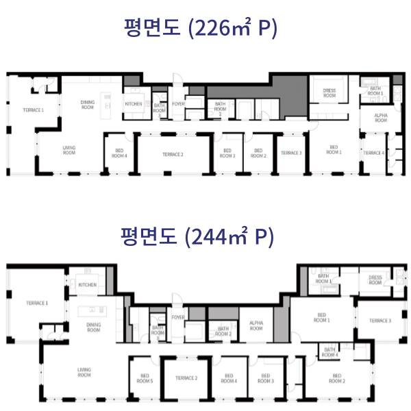 어나드 범어 평면도
