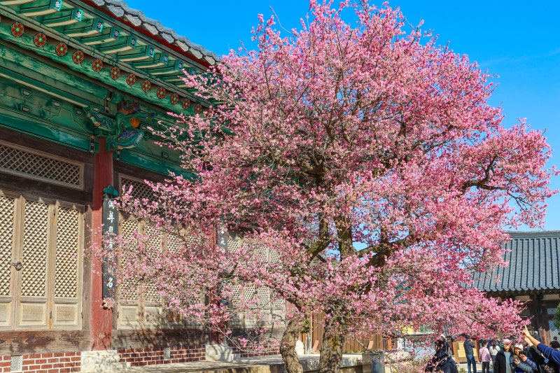 경남 양산 통도사에는 지금 &lsquo;우담바라 꽃이 피었다&rsquo;