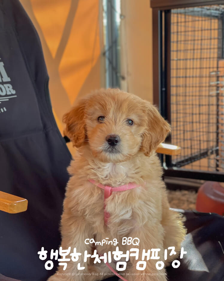 체험캠핑장 썸네일