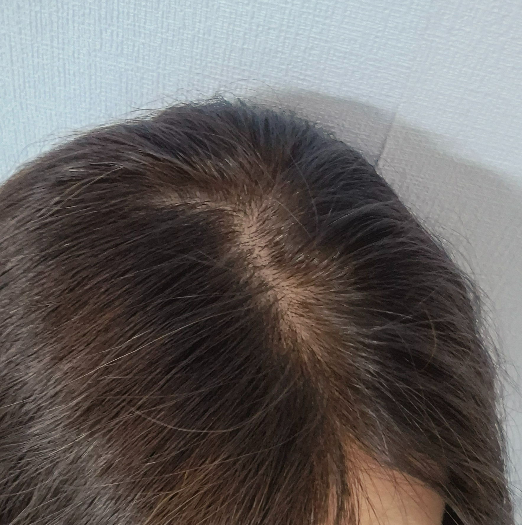 미쟝센 더블커버 헬로크림 매트브라운 염색 후