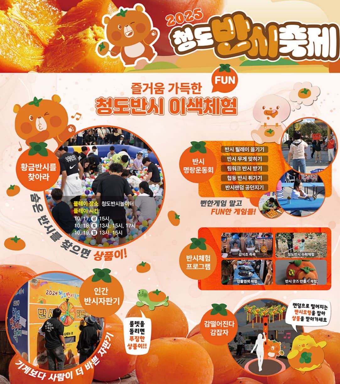 2025 청도 반시축제 완전정복