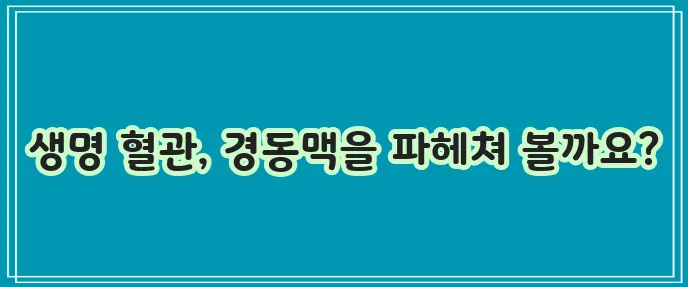 경동맥 위치와 뜻, 두께 정상수치, 협착증 증상까지 알아봅시다!