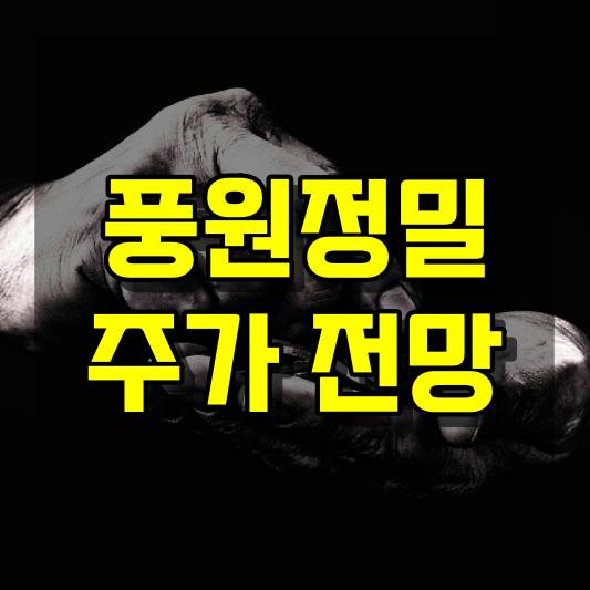 풍원정밀 주가 전망