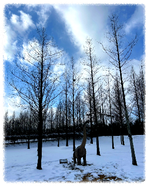  담양 메타세쿼이아랜드 어린이프로방스