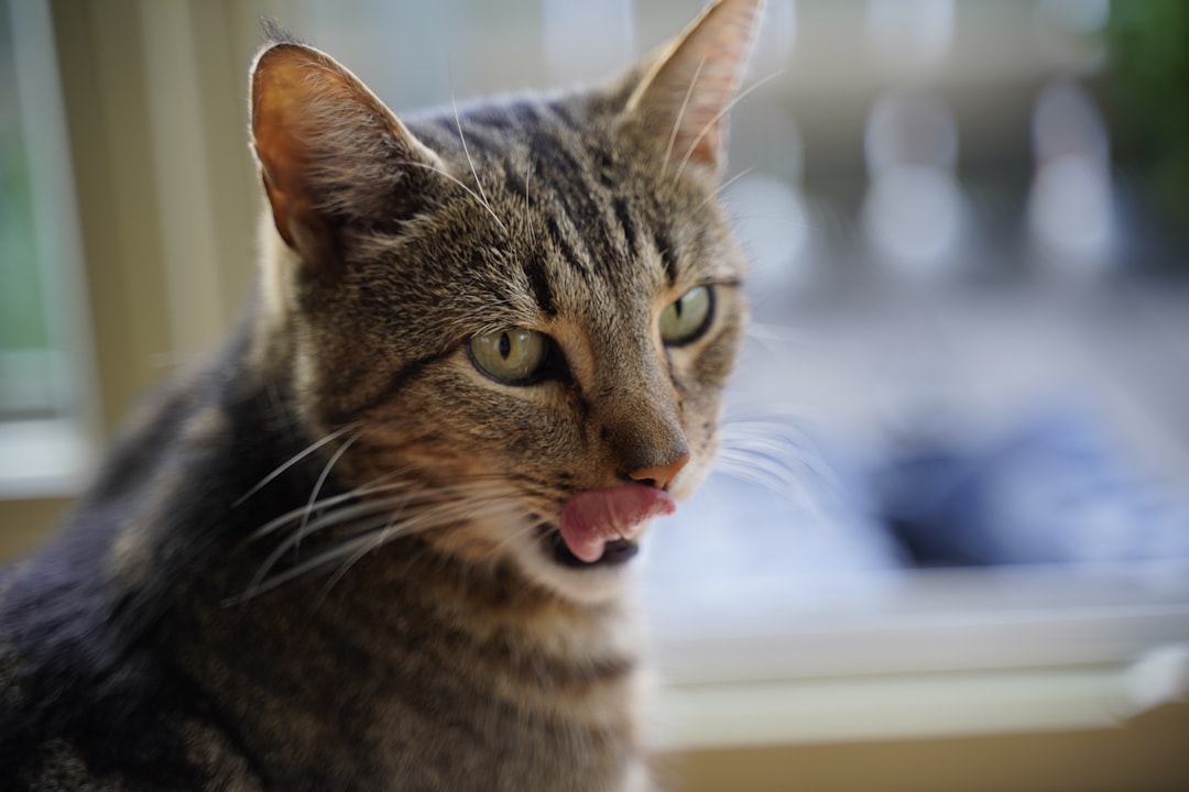 Tongue