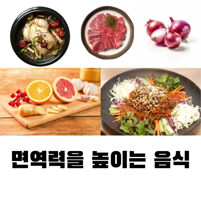 면역력을 높이는 음식