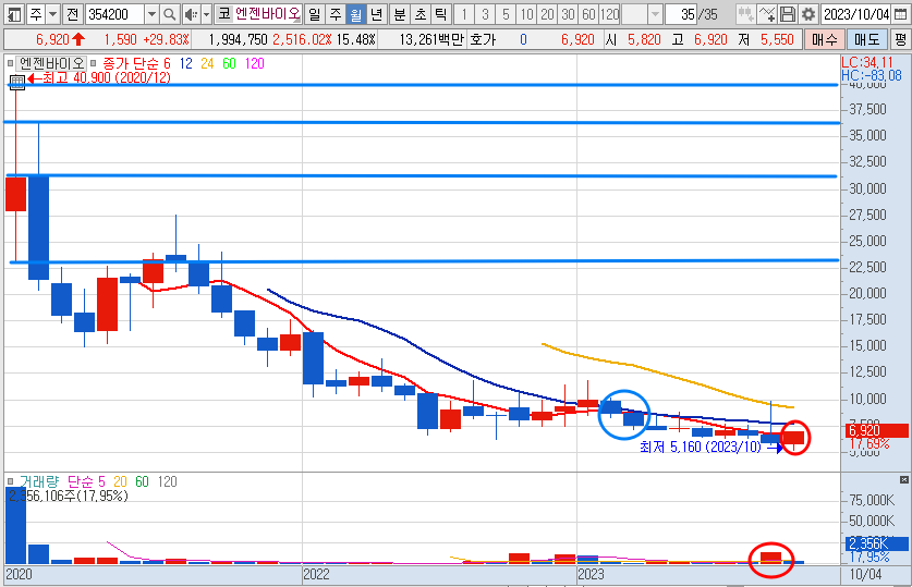 엔젠바이오 월봉 차트 분석