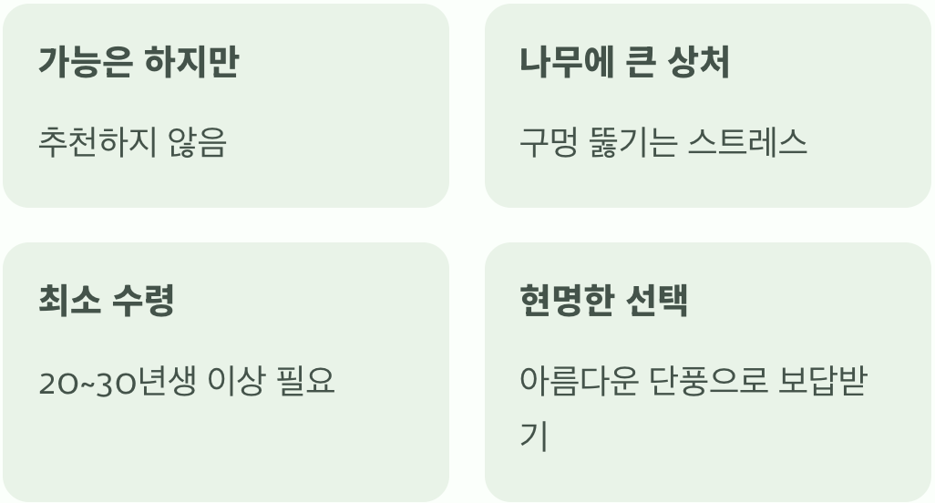 수액 채취, 꼭 해봐야 할까?