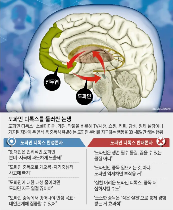 도파민 디톡스 찬성과 반대의 의견