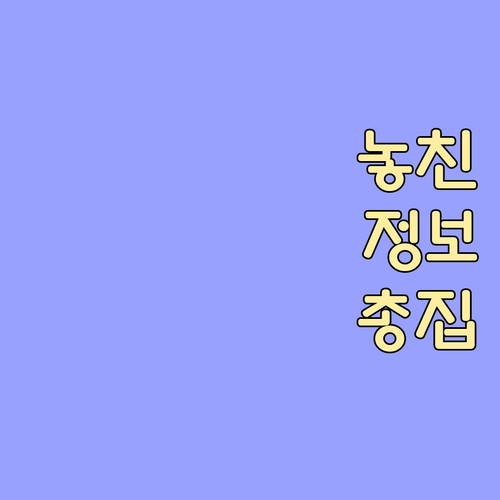 과천 원문동 쓰레기 배출, 올바른 방..