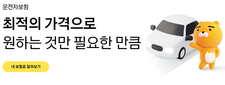 카카오페이 운전자 보험_출처: 카카오페이 손해보험