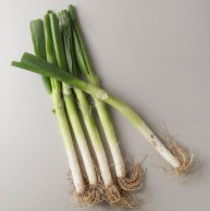 오징어국 황금레시피