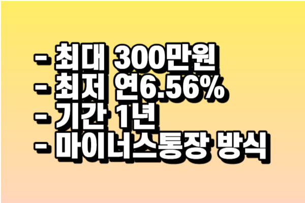 우리은행 비상금 대출 세부사항