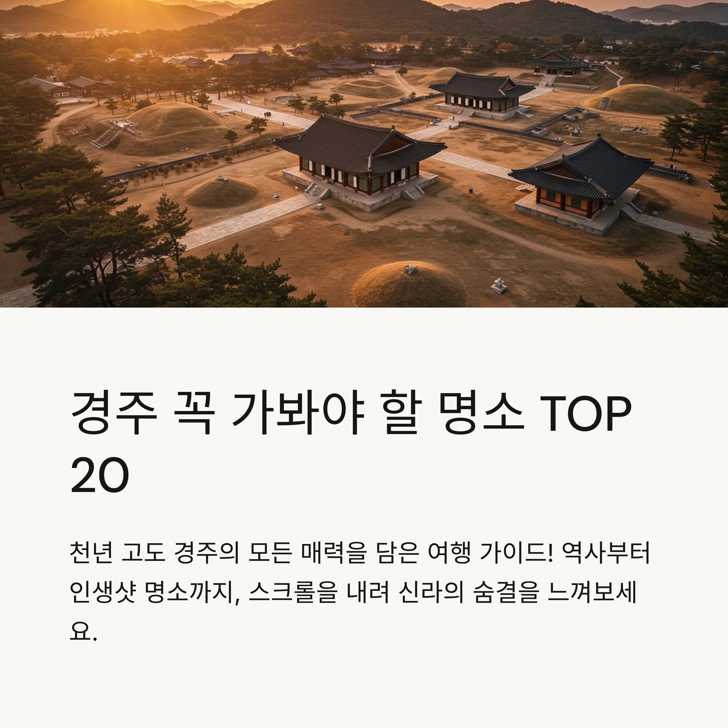 📋 목차