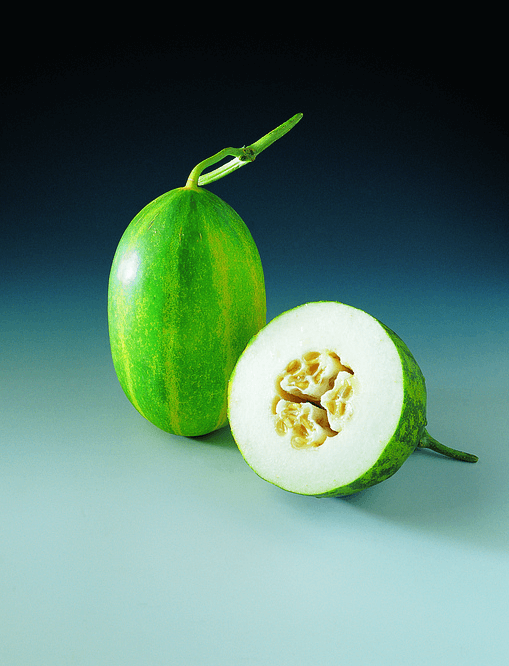 참외 효능에 참외 사진과 그 밖에 사진들 - 4