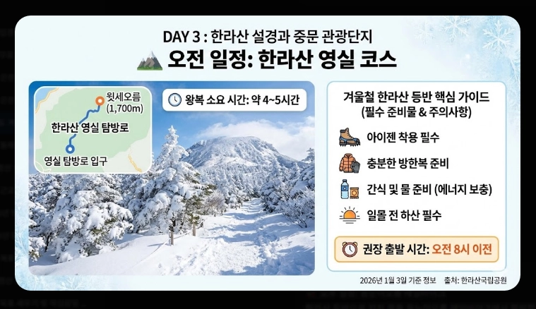 제주도 겨울 여행 3박4일 일정표 완벽 가이드 2026