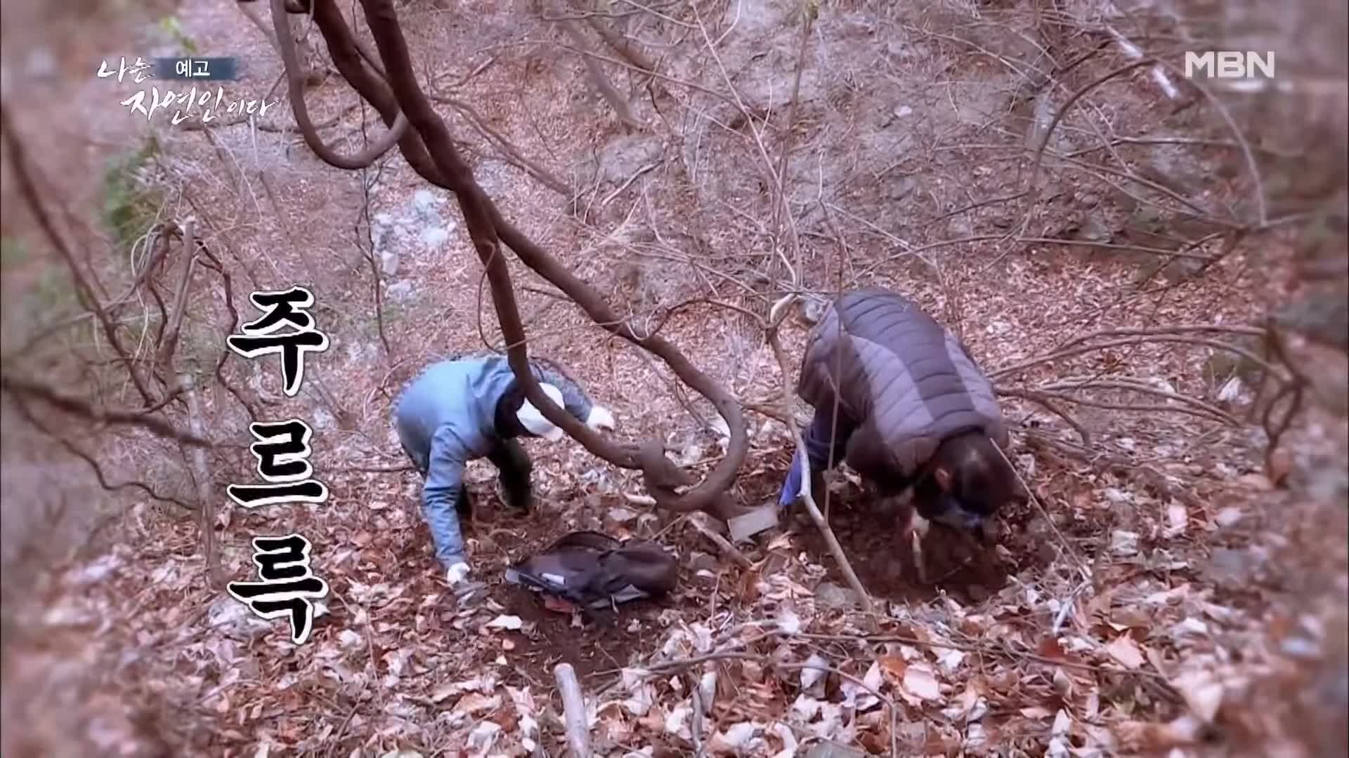 나는 자연인이다 순정 마초의 겨울찬가 자연인 박인태 소개 및 윤택 출연 533회 다시보기