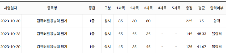 컴퓨터 활용능력 1급 필기 합격