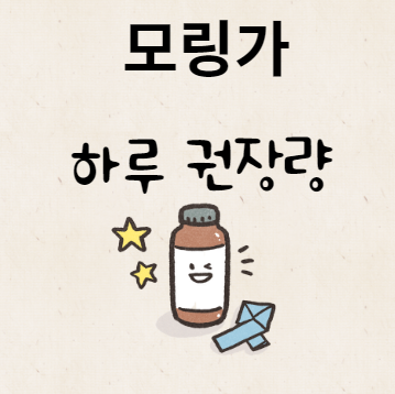 모링가 하루 권장량