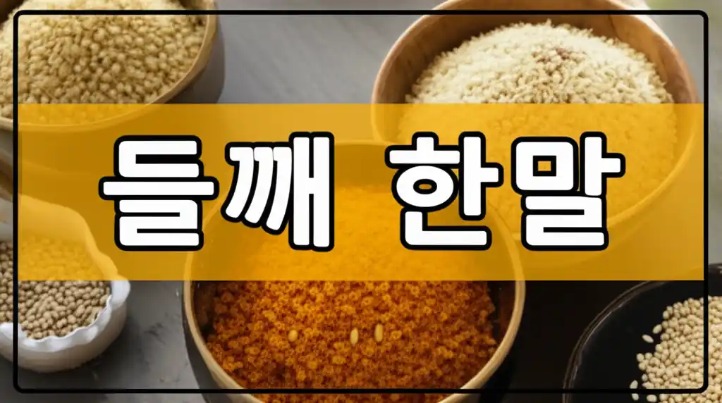 고소한 들깨 한말이 소복하게 담긴 모습 이미지