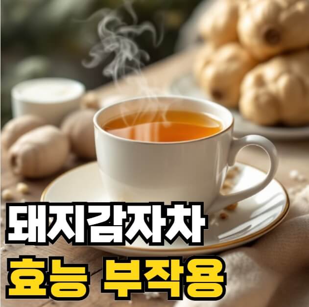 카무트 효소 효능 먹는법