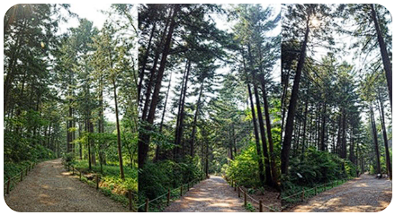 포천 백운계곡 동장군축제 이용요금 체험 기본정보