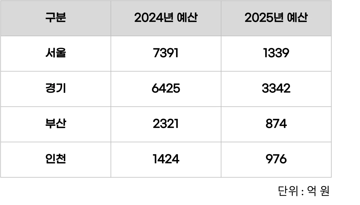 2025년 지자체 보조금 예산안