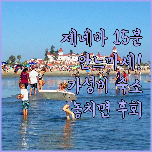 제네바에서 15분 거리 안느마세 가성..