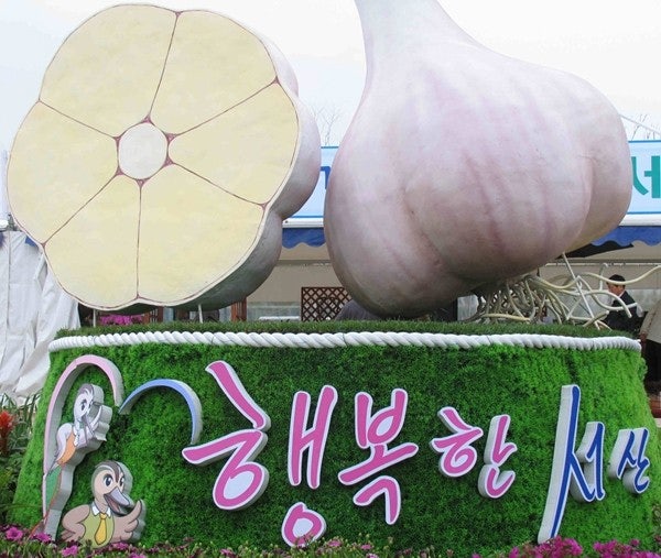 서산 감자축제, 서산 마늘축제