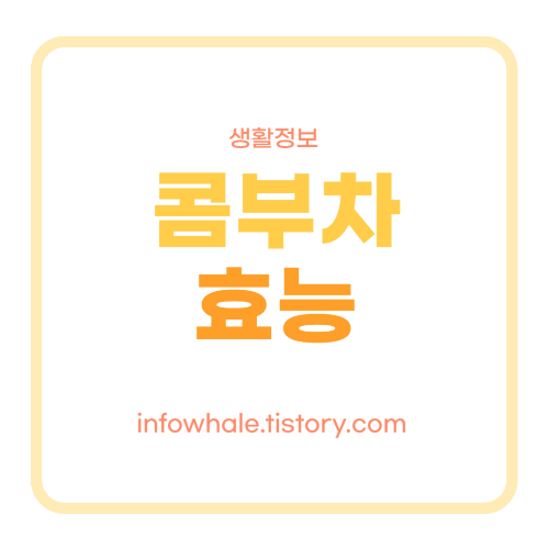 콤부차 효능