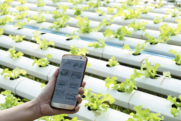 미래 도시 농업 기술