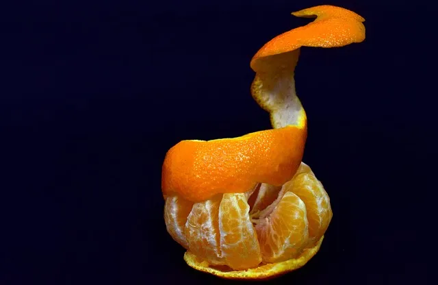 과태료까지 과일(사과&amp;#44;배&amp;#44;바나나&amp;#44;귤&amp;#44;오렌지&amp;#44;수박껍질)&middot;야채 버릴 때 음식물쓰레기 vs 일반쓰레기 완벽 정리 가이드(+생활폐기물 분리배출 누리집)