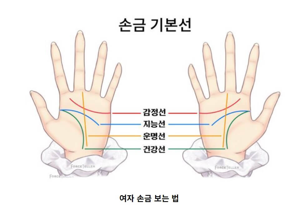 여자 손금 보는 법