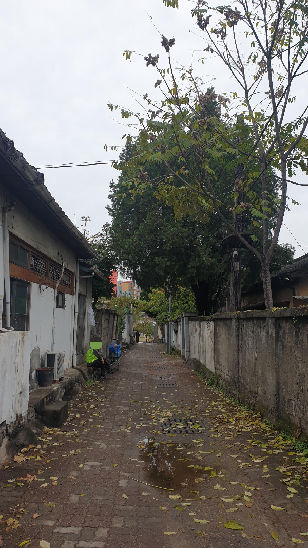 대전 소제동 카페 거리: 대나무가 인상적이었던 카페 '풍류소제'_소제동 카페 거리 모습