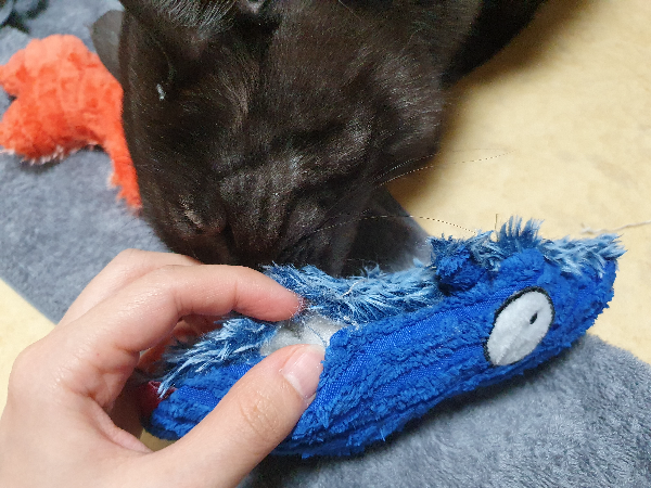 고양이와 애착인형 4