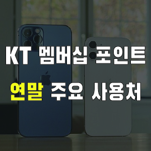 KT 멤버십 포인트 주요 사용처