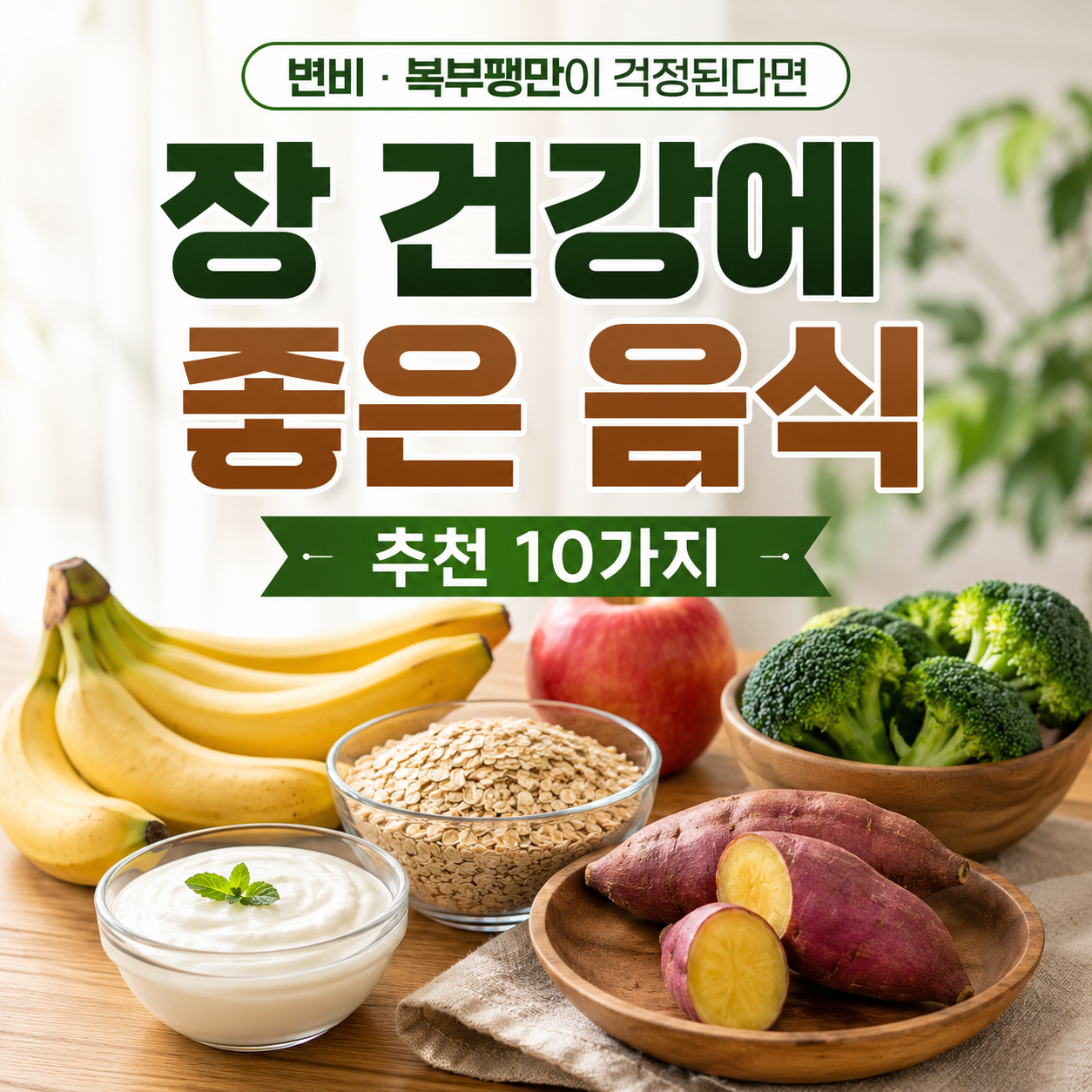 장 건강에 좋은 음식을 소개하는 건강 블로그 텍스트 강조형 썸네일