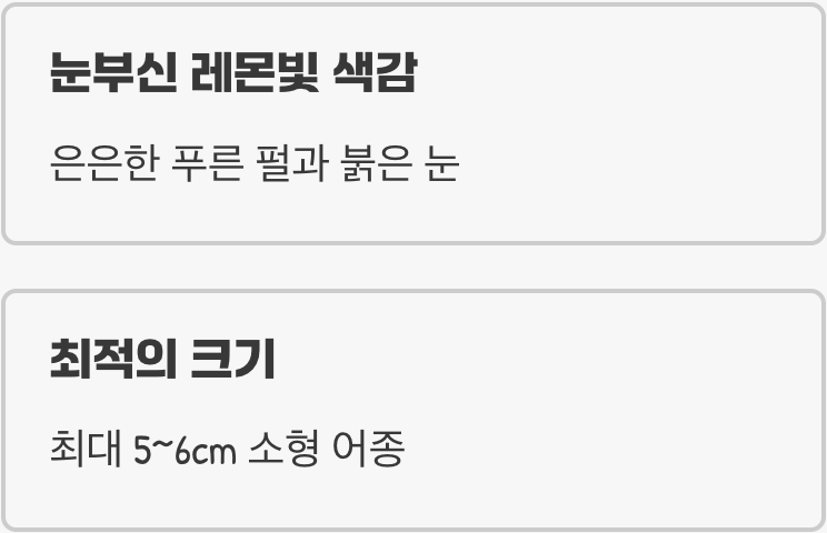 작지만 강렬한 존재감, 수초항의 주인공