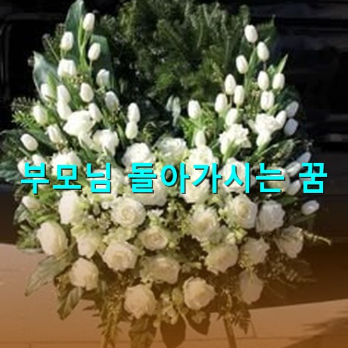 수-백송이-국화-근조가-크게있는-모습