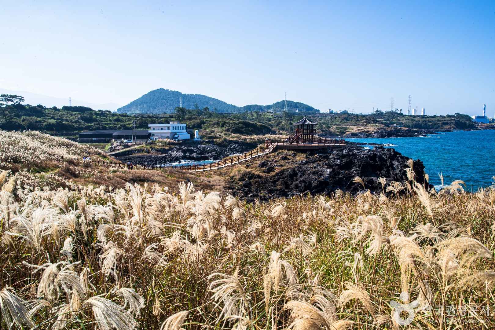 제주 닭머르해안길