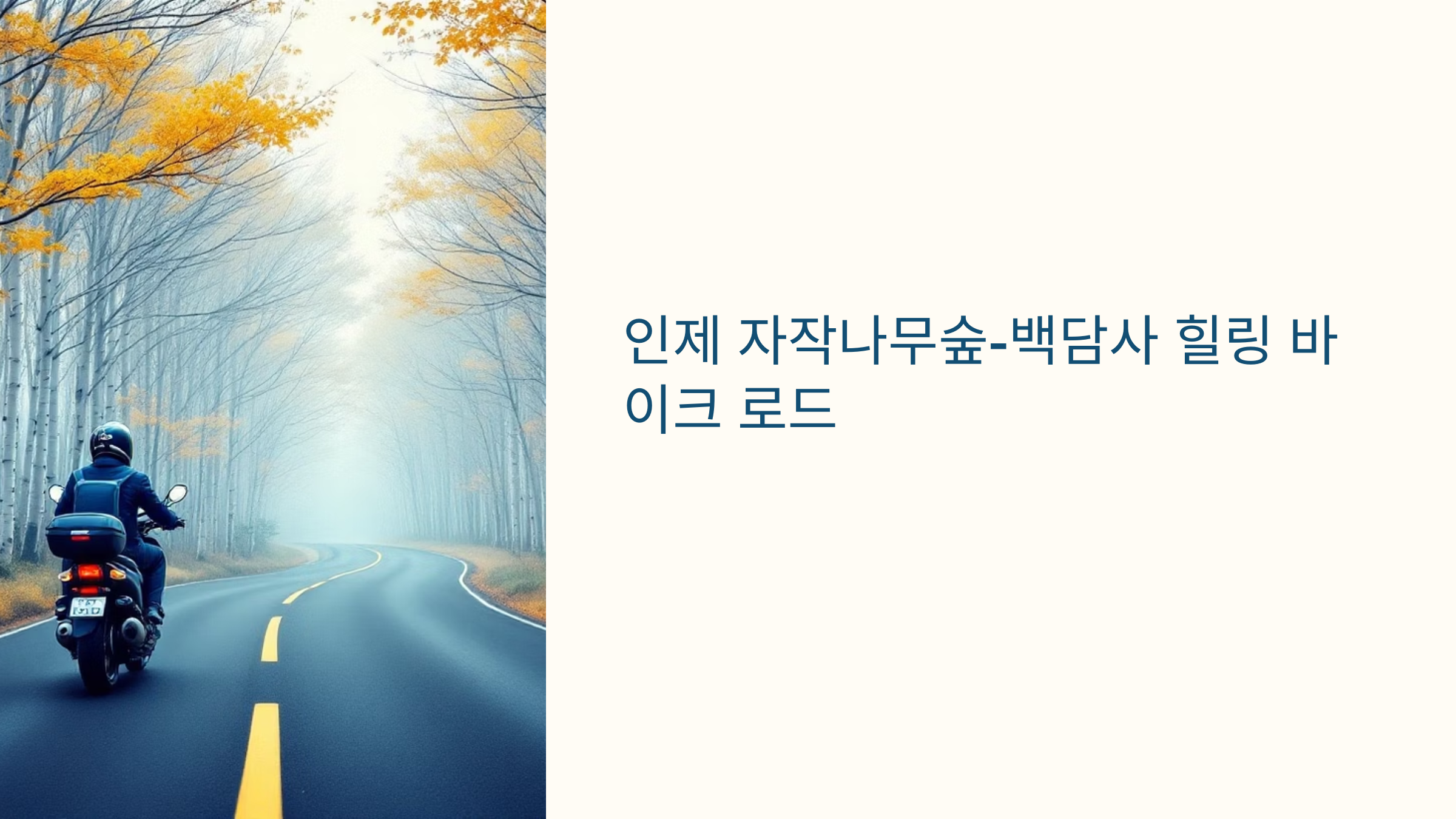 인제 자작나무숲 백담사 힐링 바이크 로드