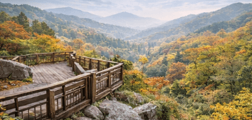 화담숲 예약방법 총정리