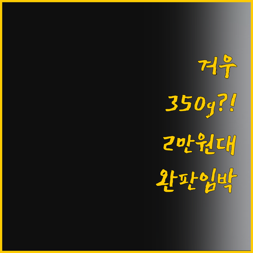 350g 초경량 FONOW 미니청소기..