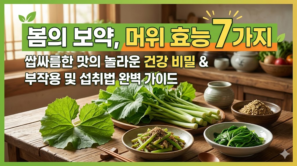 머위 효능