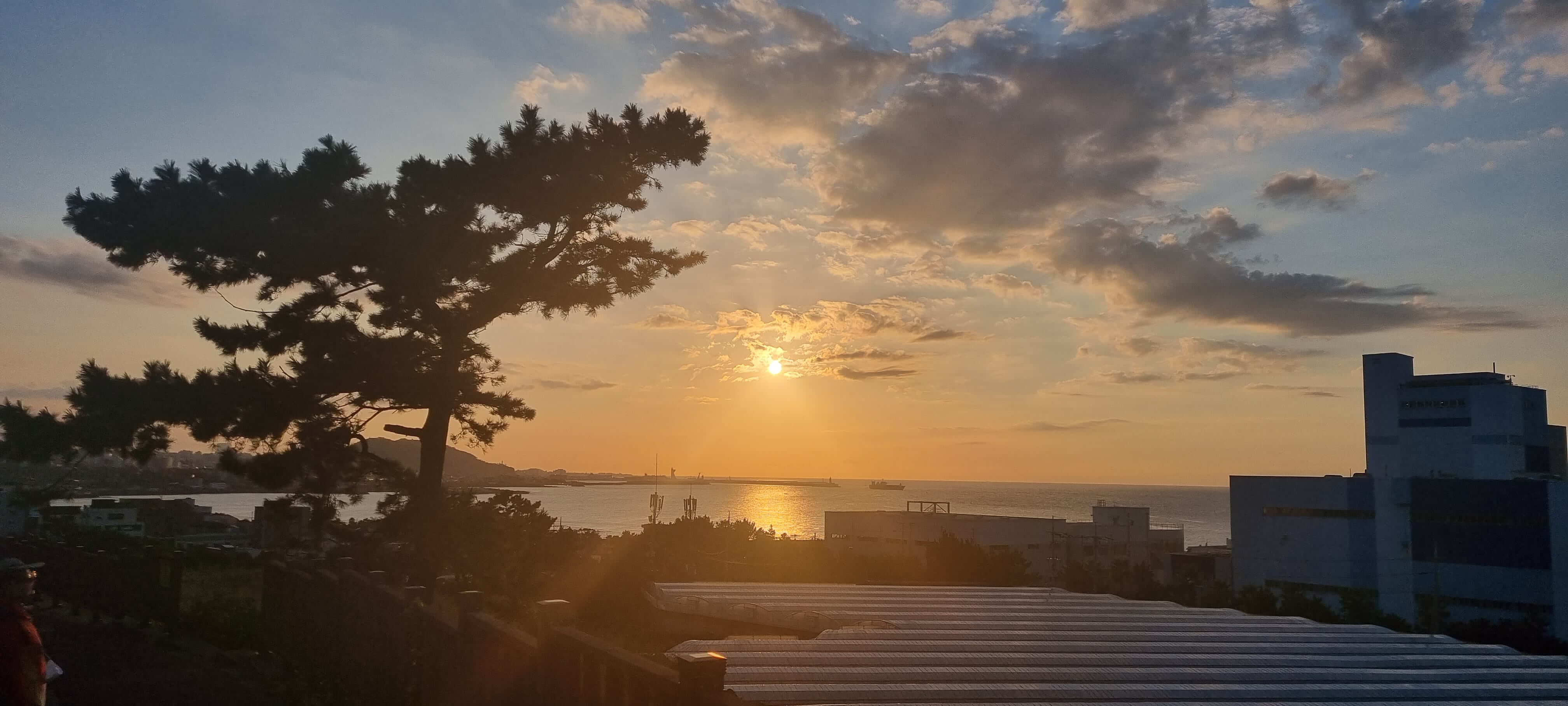 삼양동