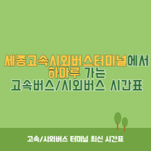 세종고속시외버스터미널에서 하마루 가는 고속버스_시외버스 시간표