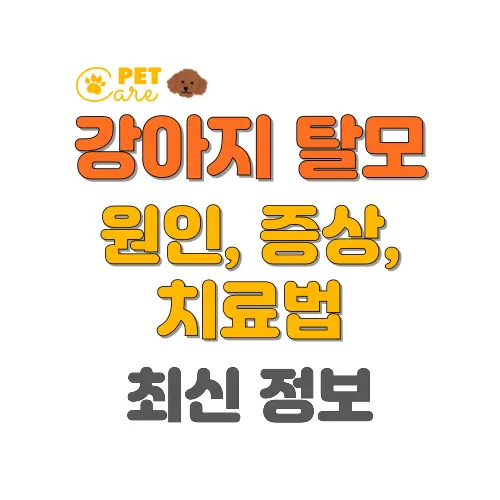 강아지 탈모 썸네일